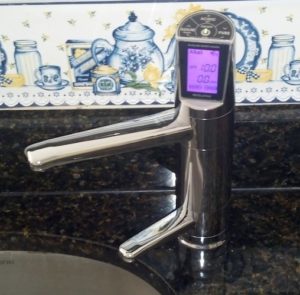 what does a water ionizer do