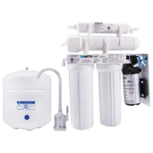 ionized water system