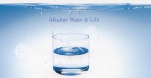 alkaline diet and weight loss