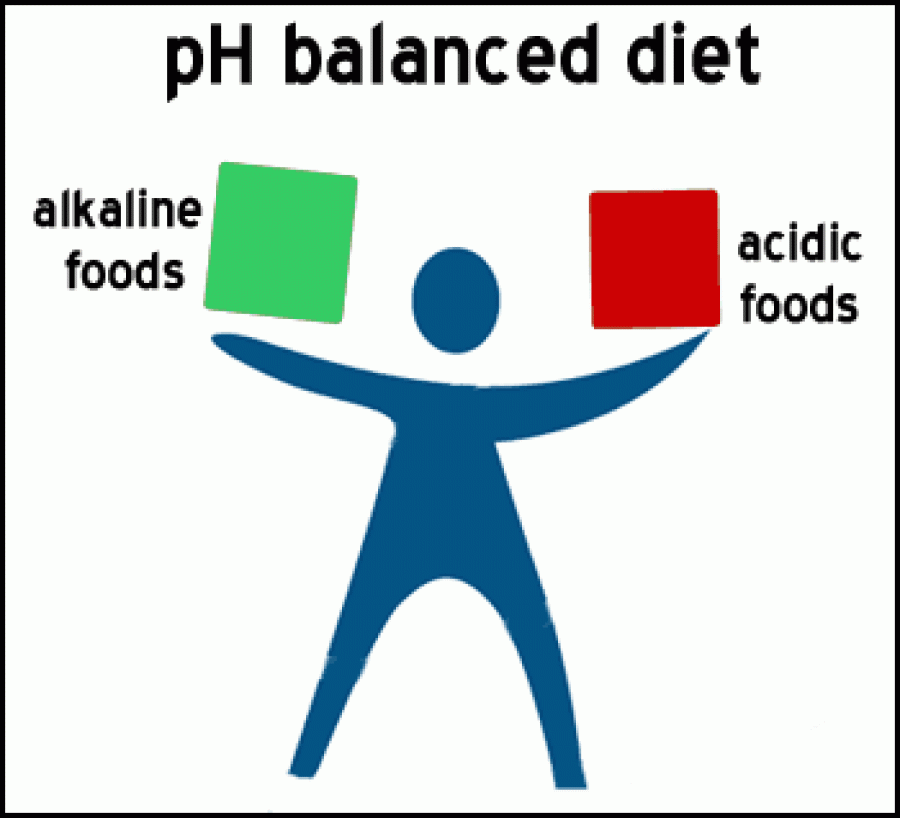 alkaline diet lose weight