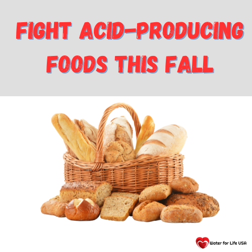 
                    Fight Acid-Producing Foods this Fall