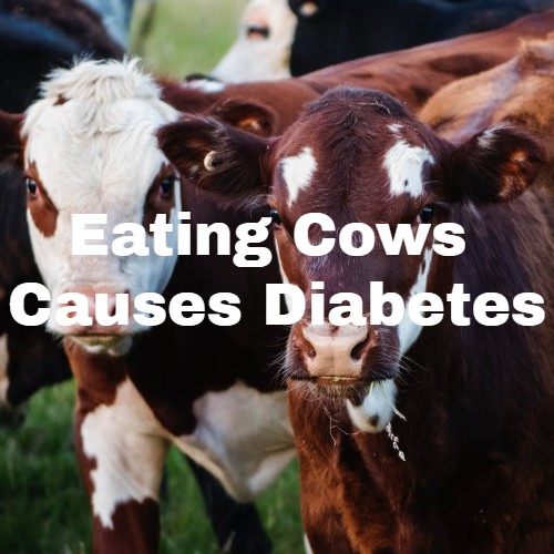 
                    Animal Fat Causes Type 2 Diabetes