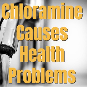 
                    The Dangers of Chloramine in Your Water