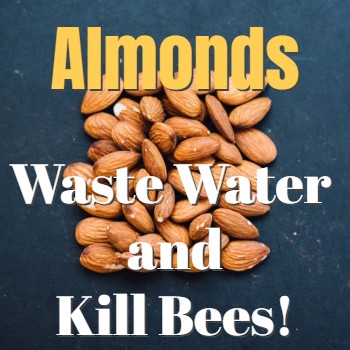 
                    Stop Drinking Almond Milk, It’s NOT Worth it!