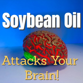 
                    Soybean Oil Changes Your Brain!