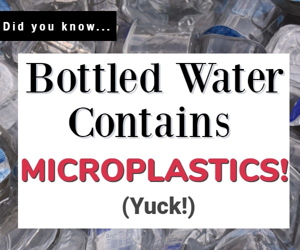 
                    Dangers of Plastic Water Bottles