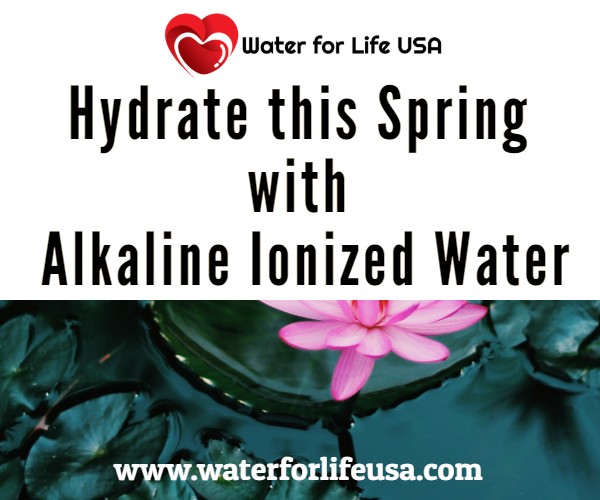 
                    Spring Hydration Matters — Drink Alkaline Ionized Water
