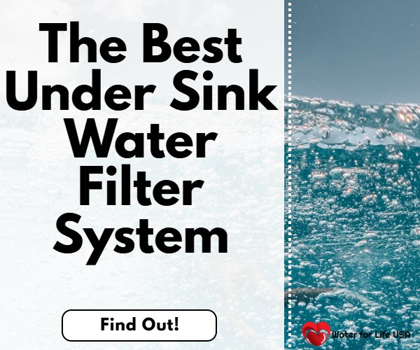 
                    The Best Under Sink Alkaline Water Filter of 2021