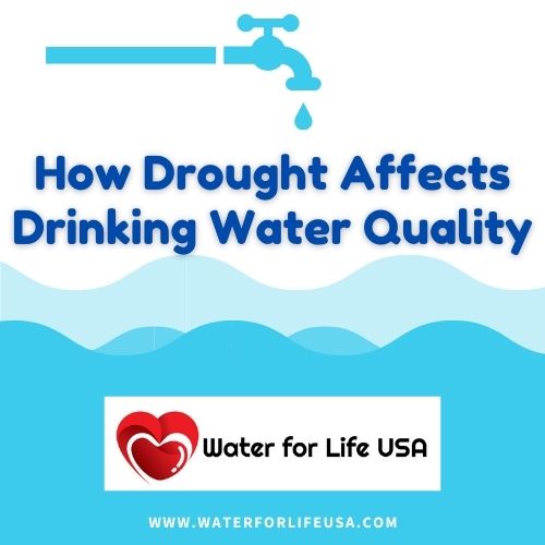 
                    How Drought Affects Your Drinking Water Quality