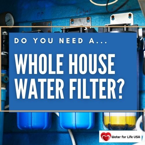 
                    Do You Need a Whole House Water Filter?