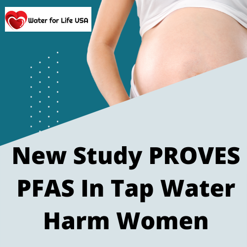 
                    Groundbreaking Research Concludes that PFAS in Tap Water Harm Women