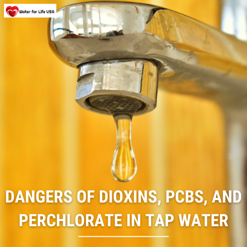 
                    Three More Dangerous Tap Water Toxins — Dioxins, PCBs, and Perchlorate