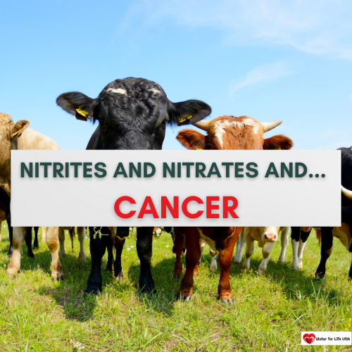 
                    Link Between Nitrates and Nitrites in Drinking Water and Cancer