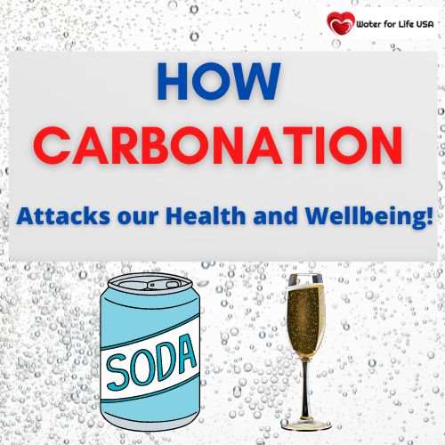 
                    Carbonation Attacks Our Health and Wellbeing