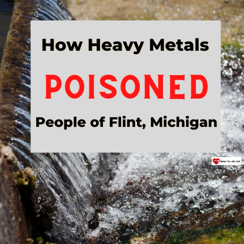 
                    How Heavy Metals in Drinking Water and Corrupt Officials Poisoned Residents in Flint, Michigan