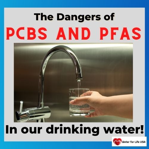 
                    The Dangers of PCBs and PFAs in Our Drinking Water: Developmental Delays, Immune System Suppression, Hormone Disruption…