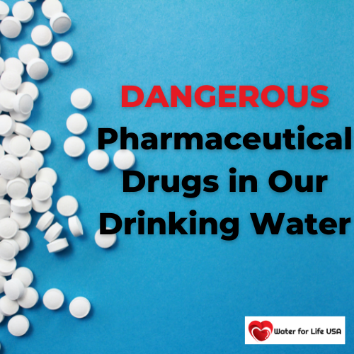 
                    The Impact of Pharmaceutical Drugs in Our Drinking Water