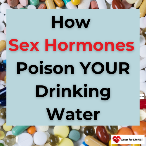 
                    Sex Hormones in YOUR Drinking Water