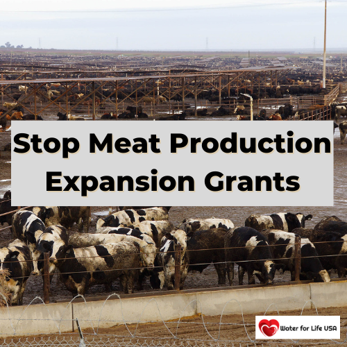 
                                URGENT: Protect our Health by Stopping Animal Agriculture Expansion Grants — Clean the Water and Soil First!