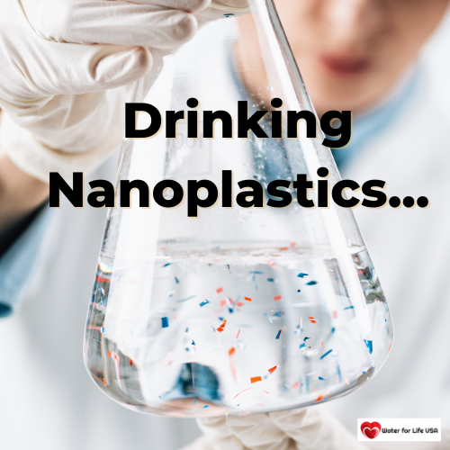 
                                We are Drinking Nanoplastics in Our Bottled Water (We Should Stop…)