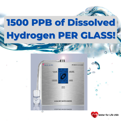 
                    Genesis Steel Water Ionizer: 1500 PPB of Dissolved Hydrogen Per Glass