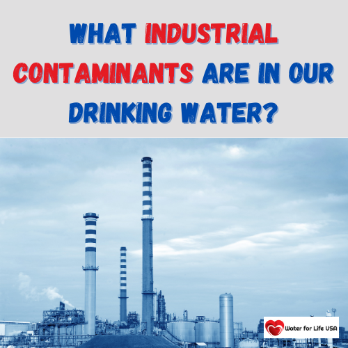 
                    What are the Industrial Contaminants in Our Drinking Water?  How Do they Affect Our Health?