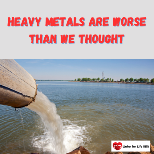 
                    Toxic Heavy Metals in Tap Water, Protein Shakes, Dog Treats, and More