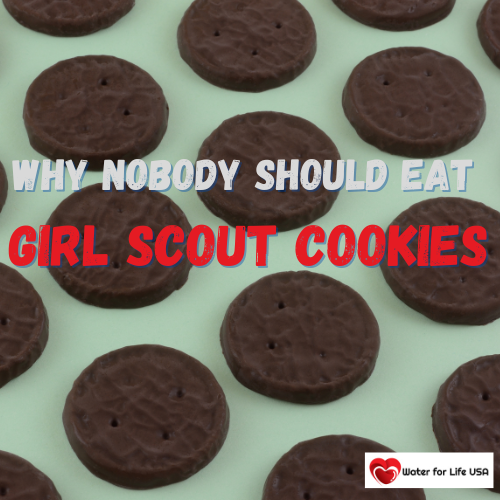 
                    Why Nobody Should Eat Girl Scout Cookies