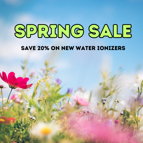 Spring Sale!  Save 20%