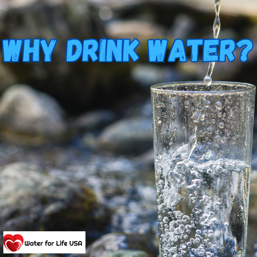 
                    Why Drink Water and Not Other Beverages When You’re Thirsty?