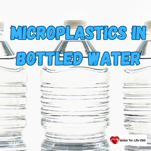 
                    Which Bottled Waters Have the Most Microplastics?