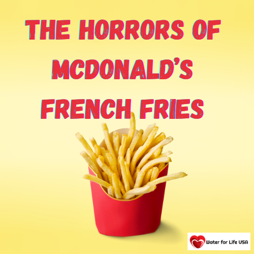 
                    The Horrors of McDonald’s French Fries and Other Processed Foods