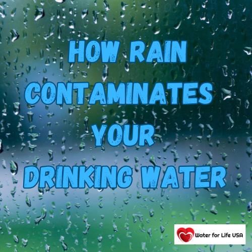 
                    How Fall Rain Contaminates Your Drinking Water