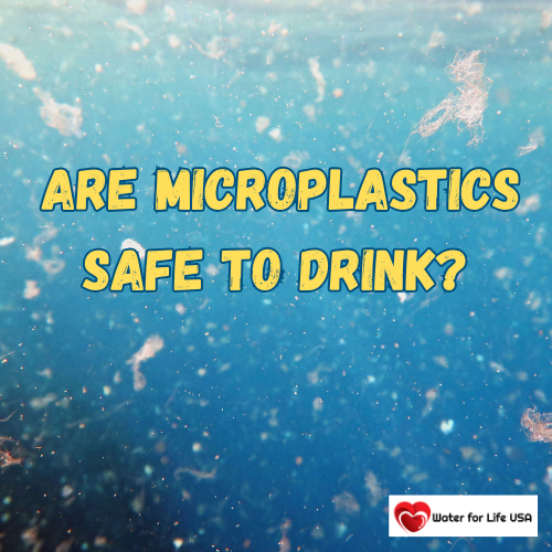 
                    Health Impacts of Microplastics in Our Drinking Water